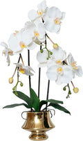 CXGS Orchids Artificial Flowers Realistic Fake Flowers in Ceramic Vase 20" White Faux Plants Indoor Lifelike Soft PU Phalaenopsis for Centerpiece Hotel Home Decor