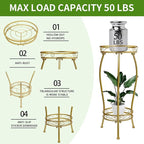 Plant Stand Indoor Outdoor 2 Tier 27'' Tall Metal Potted Rack Flower Pot Stand Heavy Duty Rustproof Iron Multiple Plant Supports for Garden Balcony Patio (Golden)