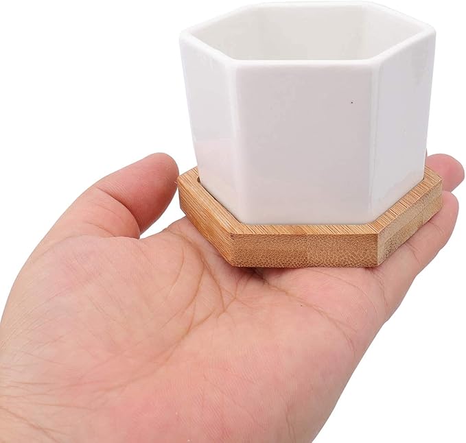 Foraineam 10 Pack Mini Succulent Plant Pots, 2.76 inch Hexagonal White Ceramic Succulent Cactus Planters with Bamboo Tray