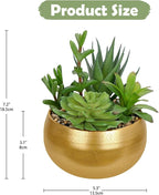 Hollyone Fake Plants Artificial Succulents in Pots Faux Succulent Arrangement Potted Plant with Gold Ceramic Planter Bowl for Home Decor Office Desk Bathroom Shelf Living Room Indoor Decorations