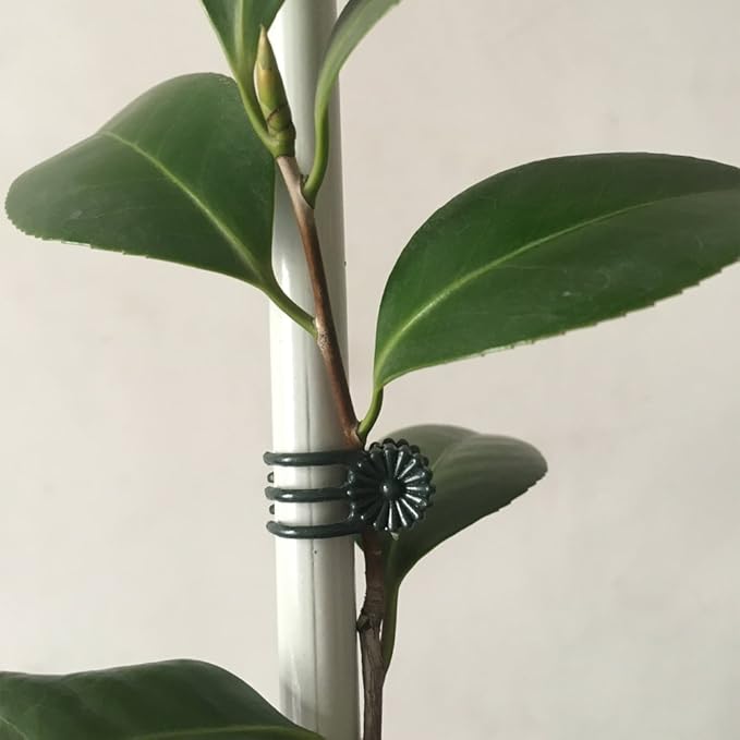 20 Pcs Large and 50 Pcs Small Daisy Orchids Clips Garden Tomato Trellis Clips to Keep Plant Neat and Healthy, Green