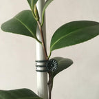 20 Pcs Large and 50 Pcs Small Daisy Orchids Clips Garden Tomato Trellis Clips to Keep Plant Neat and Healthy, Green