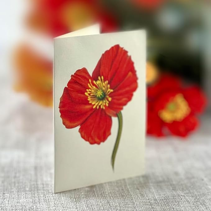 Freshcut Paper Pop Up Cards, French Poppies, 12 Inch Life Sized Forever Flower Bouquet 3D Popup Greeting Card, Birthday Cards, Thank You Card, Blank Notecard & Envelope