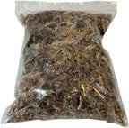 BugzyBugs 16 Quart Bioactive Vivarium Starter Kit All-in-One Accessory & Breeding Setup for Isopods, Crustacean,Springtails, Reptiles & Amphibians