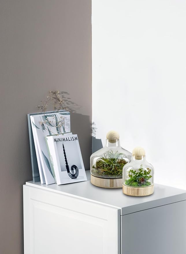 Serene Spaces Living Small Woodland Glass Terrarium - Wooden Base & Ball Stopper, Plants and Succulents Sanctuary, Potpourri Holder & Decorative Showcase for Home Décor, 7" Diameter & 10" Tall