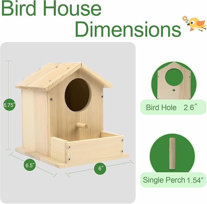 Bird House Kits for Adult, Wooden DIY Birdhouse Kit, Outdoor Woodworking Crafts Freestyle Painting, Arts and Crafts Projects with Paints & Brushes, Hanging Birdhouse for Garden Yard Decor Gifts (2Pcs)