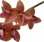 4pcs Artificial Cymbidium Orchid Flower Plant 3D Print Vanda 10 Heads Latex Phalaenopsis Flower (Orange Pink)