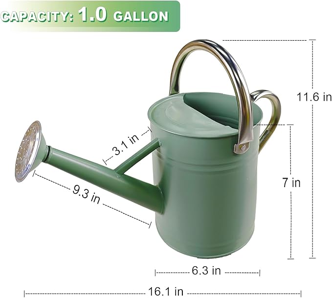Watering Can for Outdoor&Indoor Plants，1 Gallon Metal Watering Can with with Removable Spout，Galvanized Steel Garden Flower Water Can Plant Watering Pot with 2 Stainless Steel Handles，Cream Green
