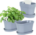 Oliz Windowsill Herb Garden Planter with Tray, Set of 6 Grey Oval Farmhouse Garden Pots for Indoor/Outdoor Plants (No Seeds)