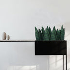 summer flower 9inch 10pcs Fake Snake Plants Leaves Set Artificial Small Sansevieria Leaves Faux Snake Plant Stems for Home Office Indoor Room Decor Desk DIY Outdoor Front Porch DIY Decorations