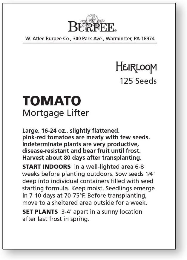 Burpee 'Mortgage Lifter' Heirloom, Beefsteak Tomato, 125 Non-GMO Seeds