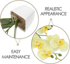 Angoily Artificial Orchid Flowers with Vase Realistic Faux Orchid Plants for Home Decor Dining Table Centerpiece for Living Room and Office
