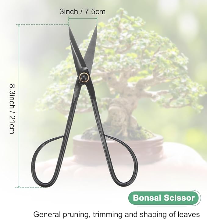 M METERXITY Bonsai Tool - 8.3 Inch Carbon Steel Bonsai Scissor, Bonsai Tree Plants Modeling Tools, Applying to Grow Room/Trimming Plants/Pruning Shears (210mm, Black)