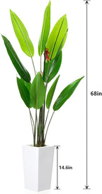 5.7FT Artificial Bird of Paradise Plant, Faux Evergreen Tropical Floor Plant in White Tall Planter, Decorative Banana Tree Indoor for Home Living Room Entryway Porch Office