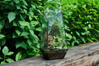 FISCRAT Tabletop Glass Terrarium -5"x5"x10.8" Black Metal Frame Indoor Plant Display Container with Openable Door, Low--Maintenance Succulent Ecosystem, Space Saving Art Decor (Plants Not Included)