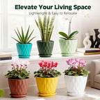 Plant Pots, Self Watering Planters with Drainage Holes and Trays, Flower Pots for Indoor Outdoor - 6 Pack(4/5/6/6.5/7/8 Inch) (Colorful)