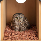 Cedar Screech Owl House Box, Squirrel Nesting Shelter, Large Cedar Bird House for Outside, Rustic Big Birdhouse,Nesting Shelter Nester Heavy Duty, Stainless Steel Perch,Assemble Needed