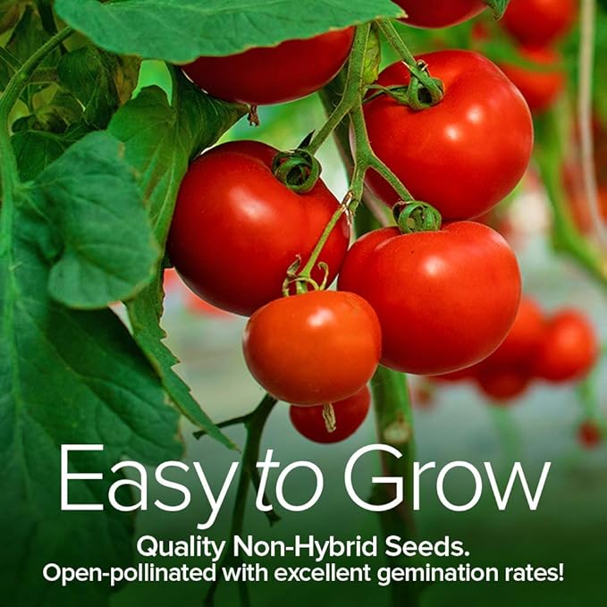 Tomato Growing Kit – Grow 8 Varieties of Delicious Tomatoes – Non-GMO Heirloom Seeds, Complete Indoor & Outdoor Tomato Seed Kit, Our Tomato kit is Perfect for Home Gardens & Fresh Cooking