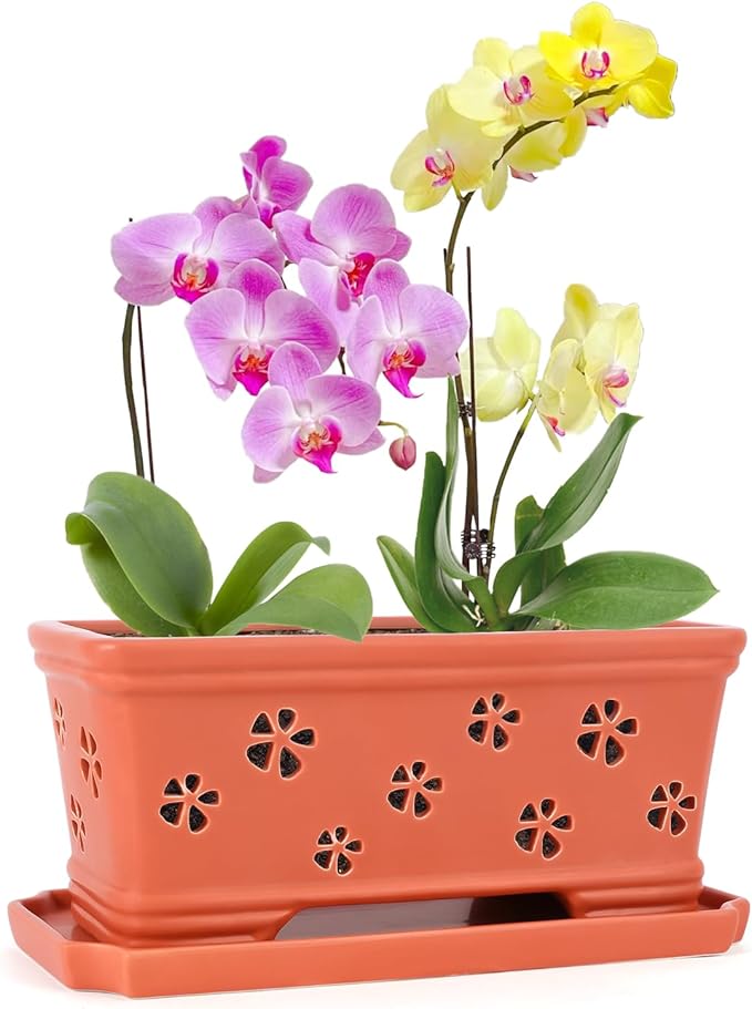 Rectangle Ceramic Orchid Pot 10In Orchid Pots with Holes for Premium Ceramic Orchid Planter for Indoor and Outdoor Use Drainage & Air Circulation Red Orchid Planter for Repotting or New Plants