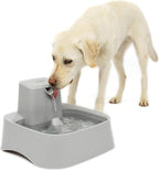 PetSafe Oasys 2 Gallon Pet Fountain for Dogs or Multiple Pets, Automatic Water Bowl Dispenser - Pump and Filter Included - Dishwasher Safe, Easy Clean Pet Dish - 2 Gallon/256 Oz