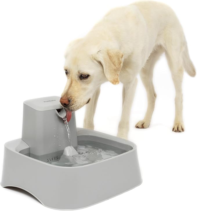 PetSafe Oasys 2 Gallon Pet Fountain for Dogs or Multiple Pets, Automatic Water Bowl Dispenser - Pump and Filter Included - Dishwasher Safe, Easy Clean Pet Dish - 2 Gallon/256 Oz