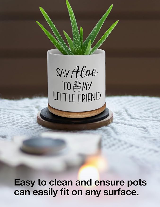 Say Aloe to My Little Friend Small Planter Pot, Funny Succulent Planter Pots Set of 2, Windowsill Decor Indoor, Small Succulent Pots for Women Plant Lovers, 3.5 inch (Plant Not Included)