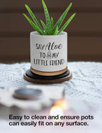 Say Aloe to My Little Friend Small Planter Pot, Funny Succulent Planter Pots Set of 2, Windowsill Decor Indoor, Small Succulent Pots for Women Plant Lovers, 3.5 inch (Plant Not Included)