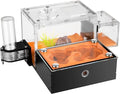 Formicarium - Ant Farm Habitat for Live Ants & Queen, Adult Educational Kit for Ant Behavior Study and Learning