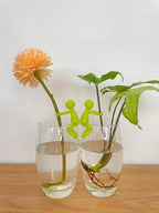 Plant Propagation Buddy – Plant Cutting Holders for Sprouts, Stems & Shoots, Cute & Sturdy Plant Supports for Indoor Gardens & Propagation Stations, for Plant Lovers (4 Colors, 12pcs)