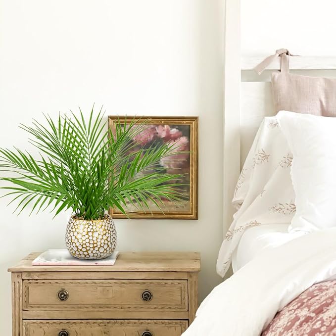 Briful Fake Plants 15'' Faux Palm Plant in Gold-White Pot Realistic Artificial Plants Indoor for Home Farmhouse Centrepieces Wedding Decorations