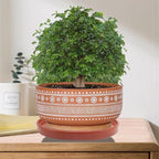 Yukfona Ceramic Plant Saucer Pot Tray 8.5 Inch, Planter Saucers 6 7 8 9 10 11 12 15 Inch, Durable Sturdy Flower Drainage drip Water Tray for Glazed Pots Base (8.5 Inch- Red Terracotta)