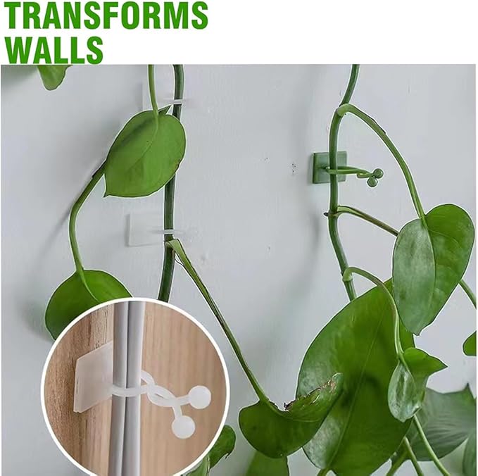 ALLWIN Plant Climbing Wall Clips - 120Pcs,Plant Hooks for Vines, Money Plant Clips