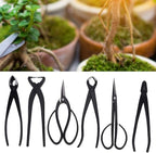 t Professional Bonsai, 6-Piece Set of Bonsai Pruning Tools + Bag Tool Kit 7 PCS Stainless Steel Bud Scissors Root Branching Wire Drawing Pliers Oblique Spherical Scissor Shear