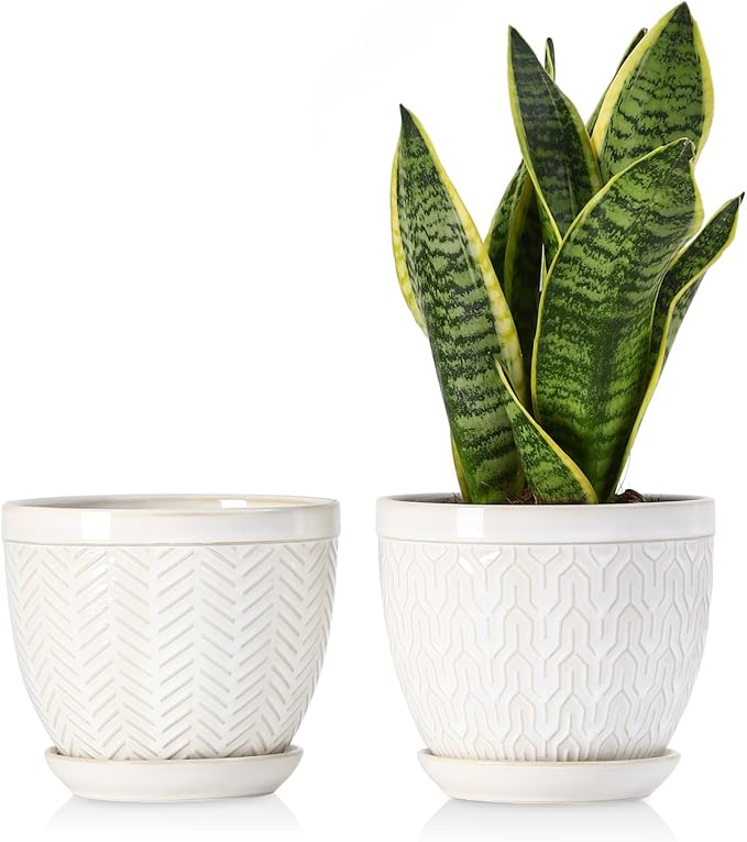 Sureasy 6.5 Inch Ceramic Plant Pots, Embossed Decorative Planters with Drainage Hole and Saucer, Modern Flower Pots for Indoor Plants, Set of 2, Glazed White