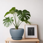 Ceramic Pot for Plants - 6 Inch Plant Pot Indoor with Drainage Hole and Saucer Decorative Planter for Outdoor Plants Modern Succulent Pots Round Flower Pots Gray
