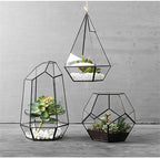 Geometric Glass Terrarium for Indoor Plants,Irregular Clear Planter,Black Opened Container Pot for Cacti,Succulents and Moss,Home Garden Office Tabletop Decor,6.5x5.7x9.8'' No Door