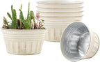 vensovo 8 Inches Beige Metal Rustic Plant Pots - 6Pcs Shallow Galvanized Planters with Drain Hole and Rubber Plug, Rustproof Tin Bucket Succulent Pot Indoor Farmhouse Vintage Style for Decor