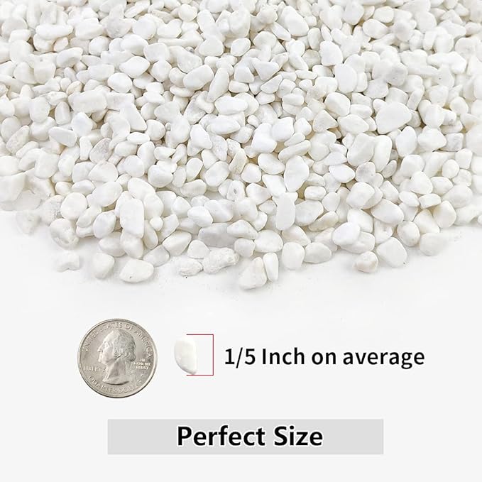 YISZM 10LB Succulent and Cactus Gravel, 1/5 Inch White Natural Decorative Polished Pebbles for Landscaping, River Rocks for Plants, Vases, Aquariums, Terrarium and Outdoor Gardening