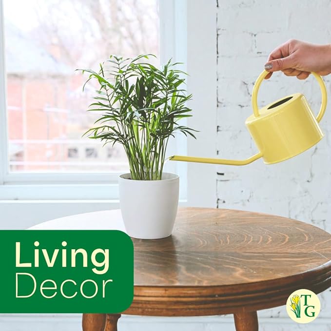 Thorsen's Greenhouse Parlor Palm Plant, Live Indoor Plant, Neanthe Bella Palm, Natural Air Purifier, Easy to Grow, Pet Safe Plant, 4-inch Diameter Pot (Lavender)