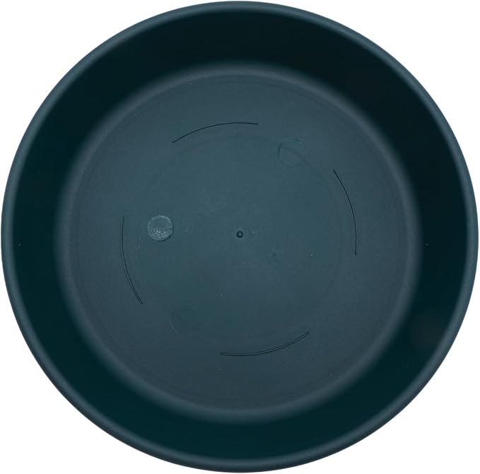 The HC Companies Flower Pot Saucers - Plastic Plant Saucer for Outdoors & Indoors - Traditional Design Plant Pot Trays for Water Drainage - Durable & Stylish Round Plant Tray (12" Evergreen)