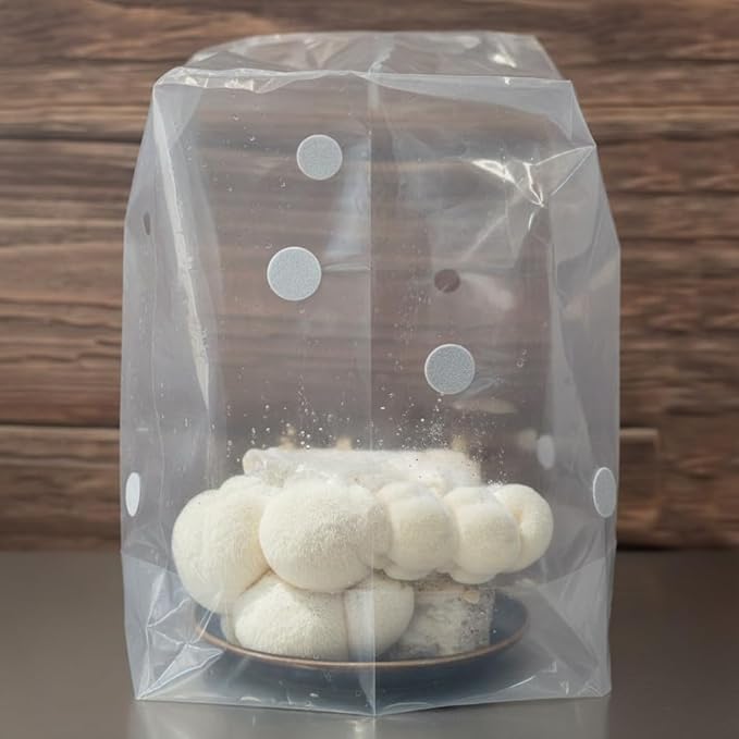 Myco Labs Lion's Mane Mushroom Grow Kit | Large 5.5 LB Fruiting Block | with Custom Humidity Tent & Filters | Grow Anywhere