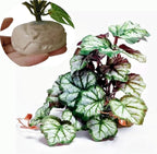 Reptile Plants for Terrarium Decor,Amphibian Habitat Decor,Artificial Plants for Gecko Chameleon Snake Tortoise Tank Accessories with Base (Green heuchera micrantha)