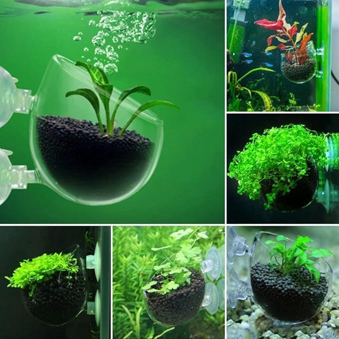 2Pcs Aquarium Plant Pot Set, Glass Fish Tank Plants Holder Aquarium Planter, Decoration Plants Cup with Suction Cups