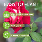 300+ Perennial Mixed Rose Flower Seeds for Planting Outdoor-Fragrant Non GMO Heirloom Garden Home Great Gardening Gifts