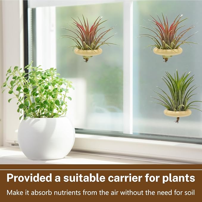 Magnetic Air Plant Holder 6-Pack, 4.5cm Wooden Ring Suspended Display for Tillandsia, Natural Wood Magnet Wall Mount & Refrigerator Sticker, Includes 6 Magnetic Patches Light Wood