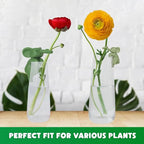Plant Propagation Buddy – Plant Cutting Holders for Sprouts, Stems & Shoots, Cute & Sturdy Plant Supports for Indoor Gardens & Propagation Stations, Perfect Gift for Plant Lovers (Green, 3 Elephant)
