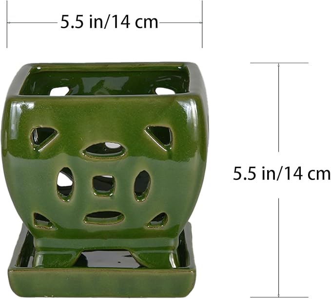 W&W Orchid Pot with Holes and Saucer for Repotting, Seagreen, 5.5"