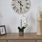 Pemberly Row Faux Phalaenopsis Orchid, 19 in Tall, White Blossoms, Two-Toned Ceramic Pot, Textured Realistic Petals and Leaves, Elegant Decor for Vanity, Bedside or Living Room