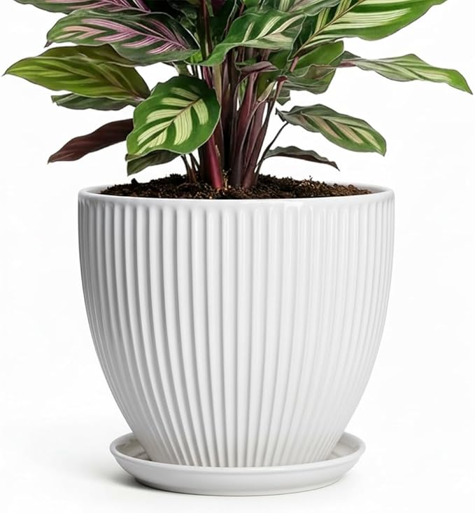 Ceramic Pots for Plants, 6 Inch Plant Pot with Drainage Hole and Saucer, Round Ceramic Flower Pots for Indoor Plants, Modern Small Succulent Planter, Room Home Decor, Plant Lover Gifts, White