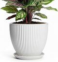 Ceramic Pots for Plants, 6 Inch Plant Pot with Drainage Hole and Saucer, Round Ceramic Flower Pots for Indoor Plants, Modern Small Succulent Planter, Room Home Decor, Plant Lover Gifts, White